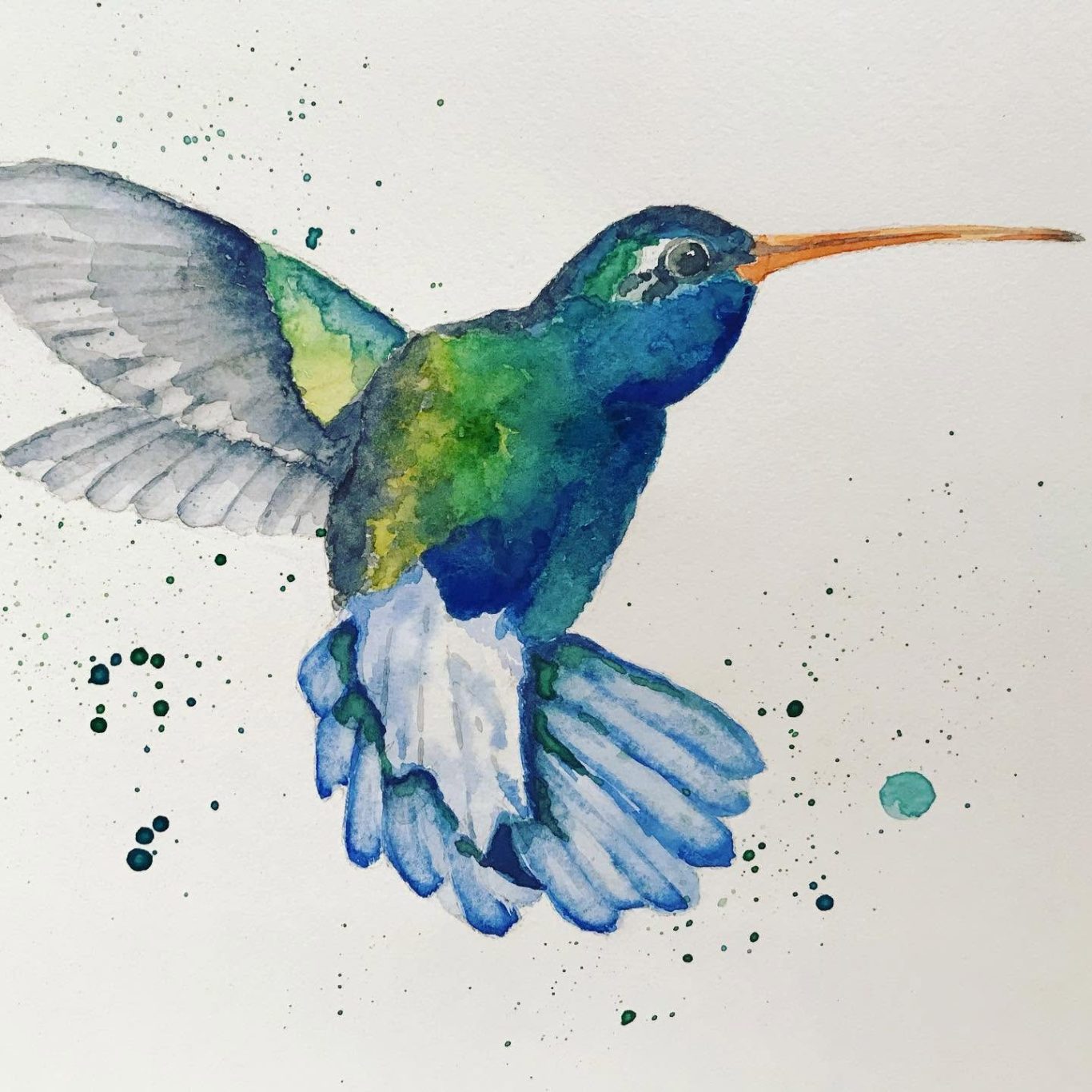 Bird watercolour painting classes