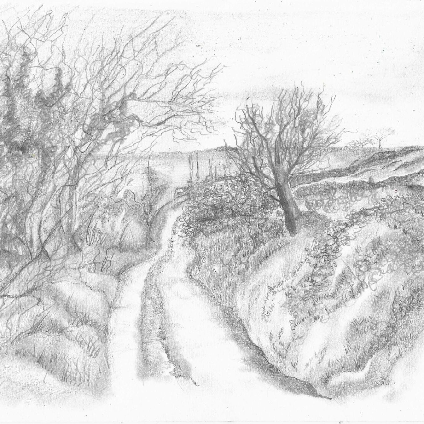 perspective in landscapes drawing classes