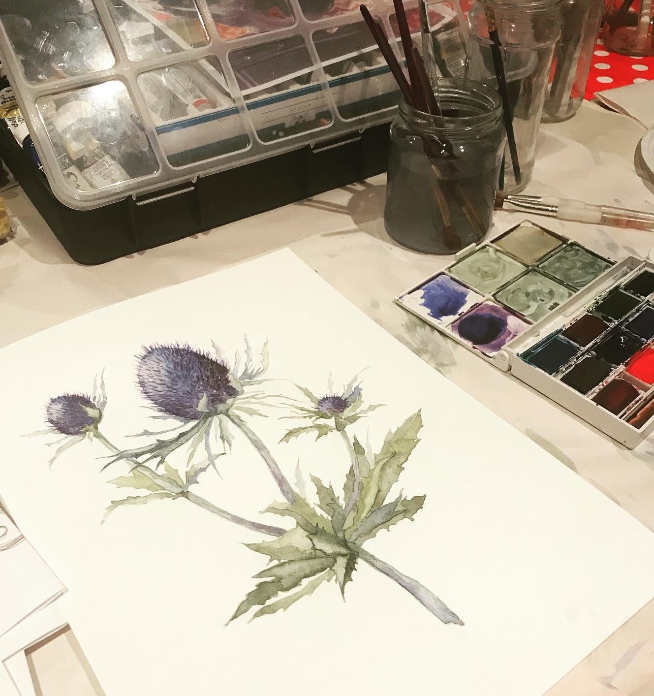 Thistle watercolour